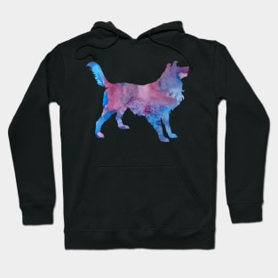 Border collie Hoodie